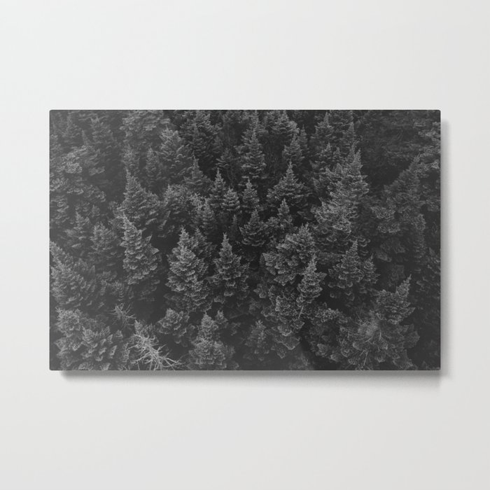 The Forest (Black and White) Metal Print