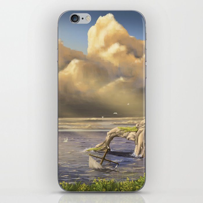 Shipwreck Pointe iPhone Skin