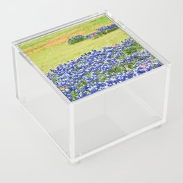Texas Bluebonnets 22 Acrylic Box