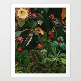 Midnight Exotic Bird Garden Art Print