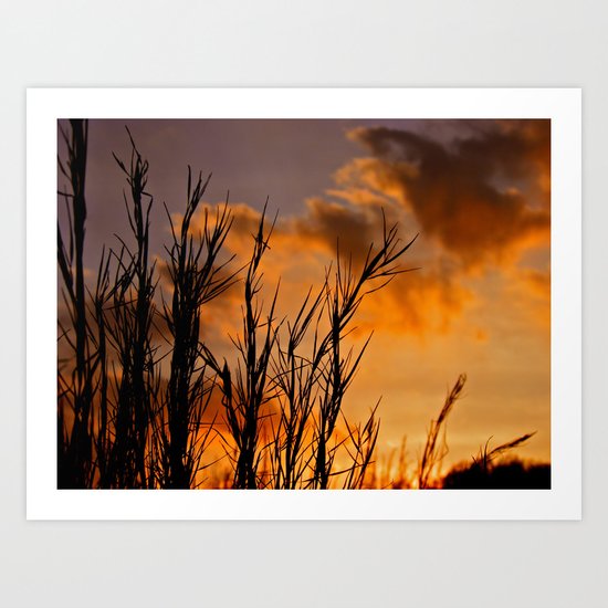 Almost Gone Art Print