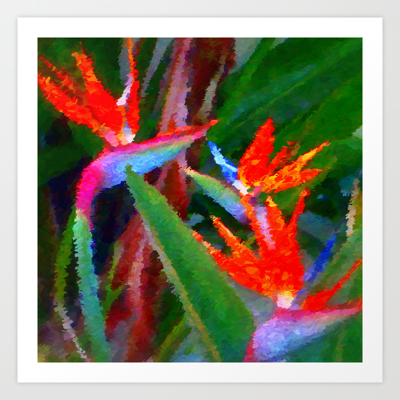 Bird Of Paradise Family Abstract Art Print By Danaroper Society6