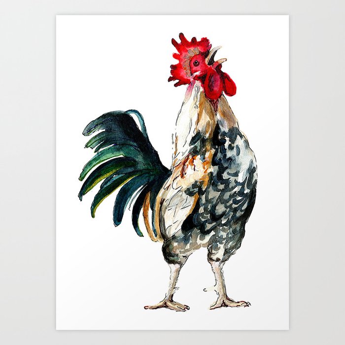 Rooster Art Print