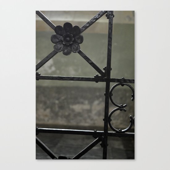 Fence Canvas Print