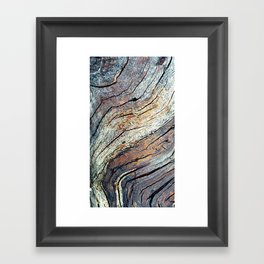 The Colours of the Trees Framed Art Print