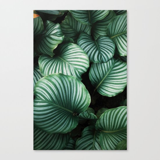 Botanics Canvas Print