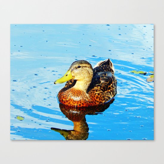Duck Reflected Canvas Print