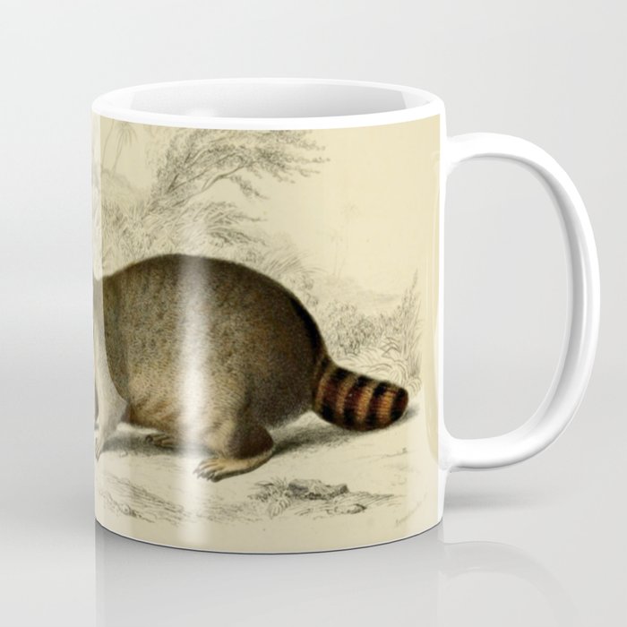 Naturalist Raccoons Coffee Mug
