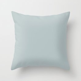 Airy Light Pastel Blue Gray / Grey Solid Color Pairs To Sherwin Williams Niebla Azul SW 9137 Throw Pillow