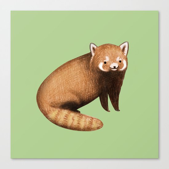 Red Panda Canvas Print
