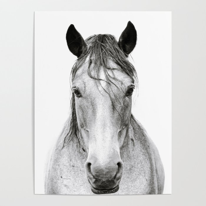 Horse I Poster