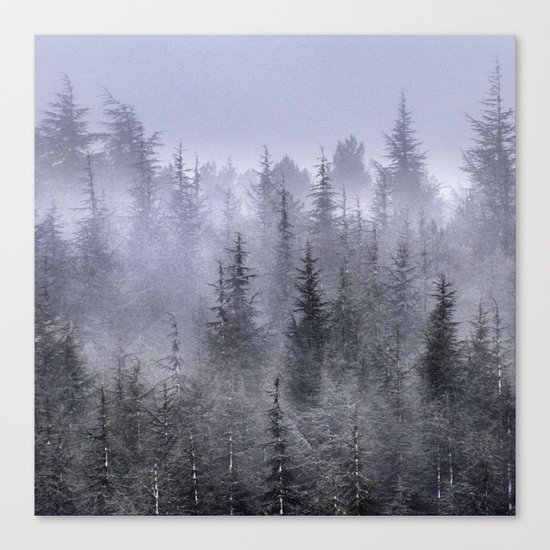 Looking for...... Canvas Print