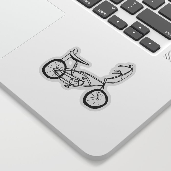 Schwinn bike stickers outlet