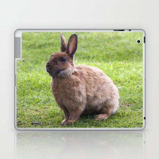 Rabbit Laptop & iPad Skin