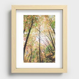 Autumn Forest Recessed Framed Print