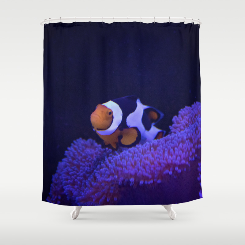 Clownfish At Home Shower Curtain By Charlierae Society6