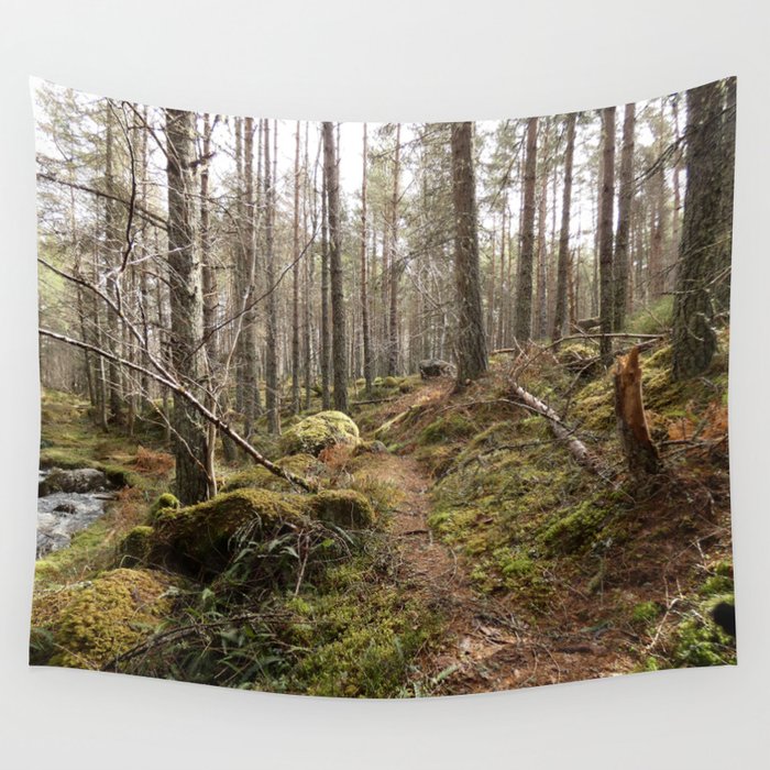 Enchanted Nature Walk in the Scottish Highlands  Wall Tapestry