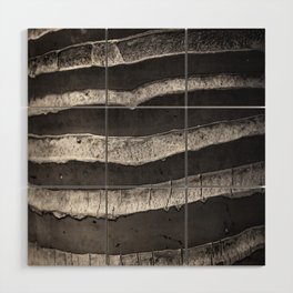 Layers - Contemporary Black and White Abstract Wood Wall Art