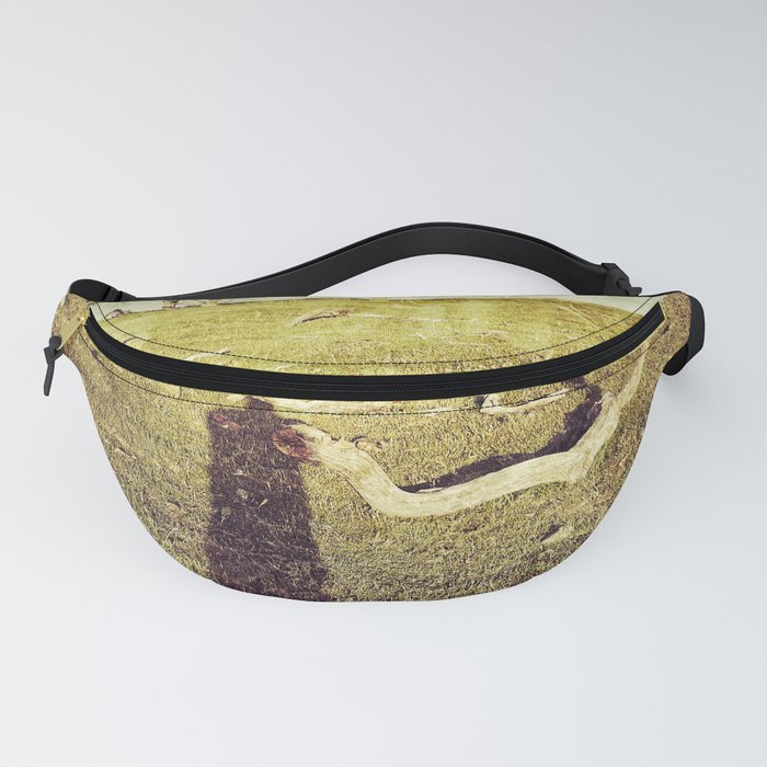 Coexistence  Fanny Pack