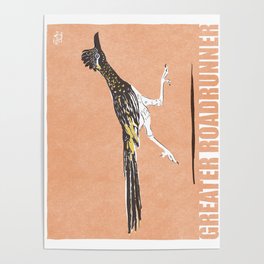 Retro-Modern bird collection, modern Greater Roadrunner Poster