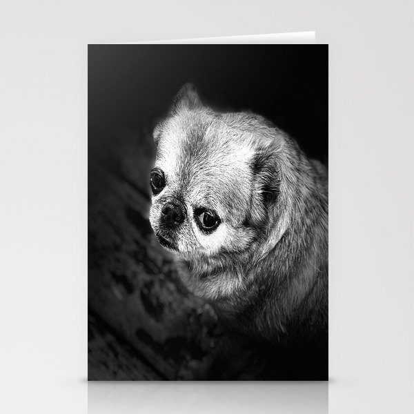 Brussel Griffon Black White Stationery Cards