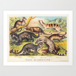 Assorted mammals vintage art Art Print