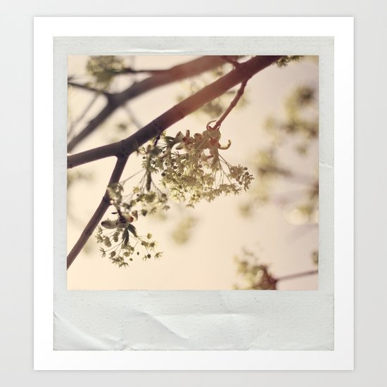 Spring Art Print