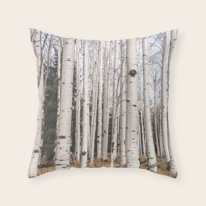 Throw Pillow