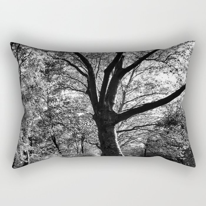 bw Central Park Rectangular Pillow