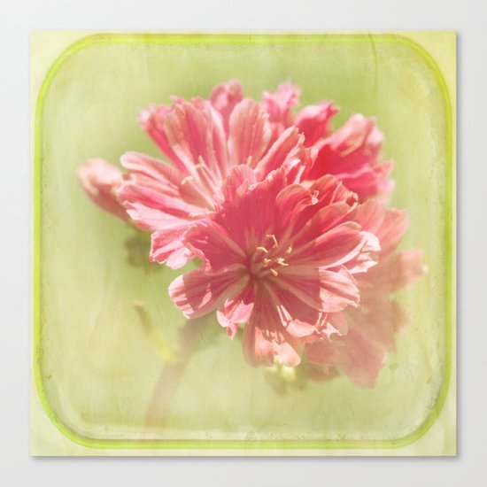 Stumble Back Canvas Print