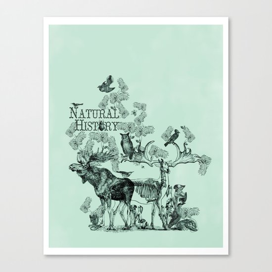 Natural History Canvas Print