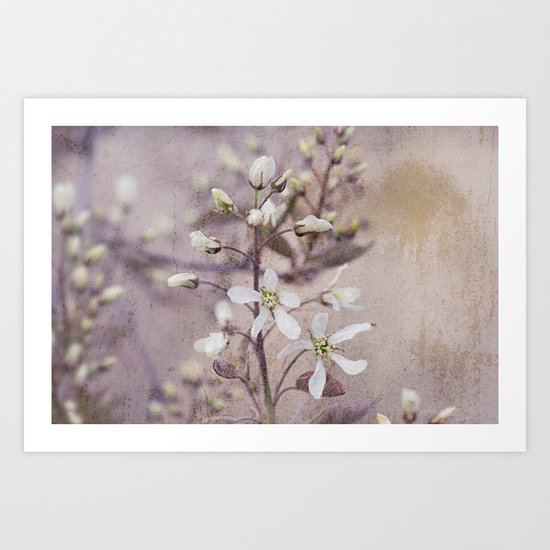 Vintage Spring flowers Art Print