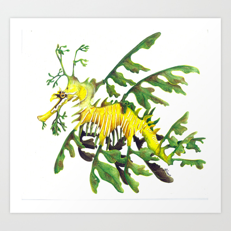 Australian Leafy Seadragon Art Print By Joyofcolourartist Society6