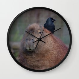 capybara Wall Clock