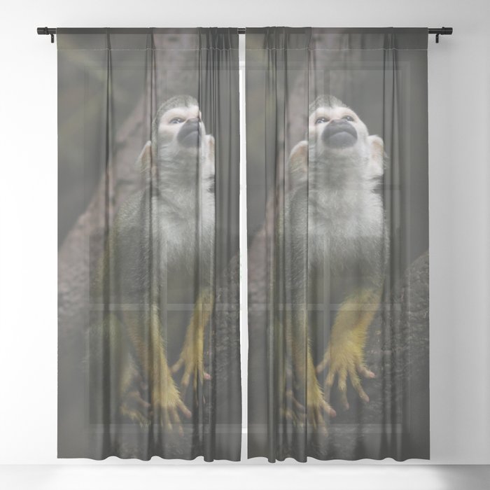 Golden spider monkey Sheer Curtain