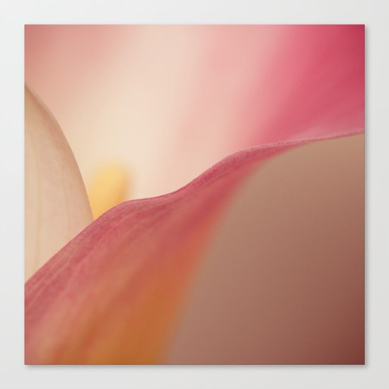 Flower Canvas Print