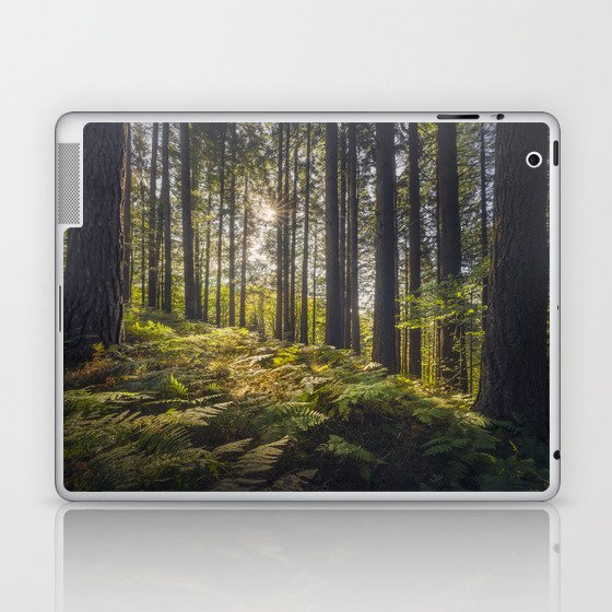 Acquerino forest. Douglas firs and ferns in the morning. Tuscany Laptop & iPad Skin