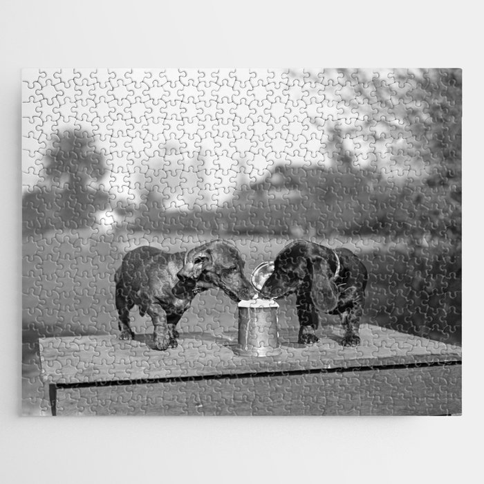Two dogs and a beer; Dachshund siblings sharing a stein of beer on hot summer day funny humorous animal portrait photograph - photography - photographs Jigsaw Puzzle