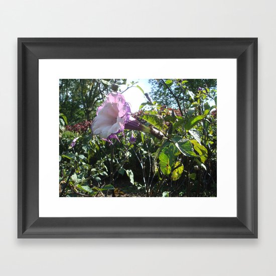 The Victrola Framed Art Print