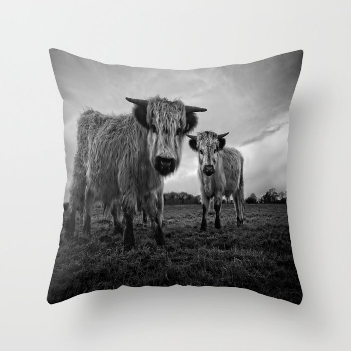 Two Shaggy Cows Throw Pillow By Rawshutterbug Society6