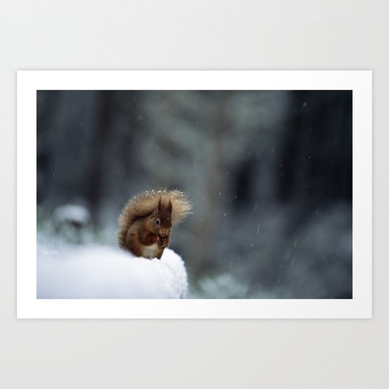 RED SQUIRREL ON SNOWY LOG Art Print