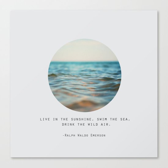 Swim The Sea Canvas Print