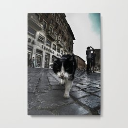 Street Cat Metal Print | Cat, Streetcat, Landscape, Wideangle, Color, Photo, City, Cityscape, Tough, Digital 