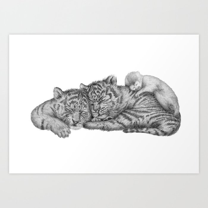 Tiger Naps Art Print