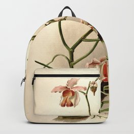 Vintage Orchid Print - Reichenbachia (1888) - Vanda teres Backpack | Nature, Floral, Old, Antique, Botany, Orchid, Flower, Flora, Print, Vintage 