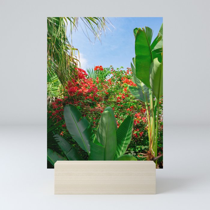 Lush Tropicals Mini Art Print