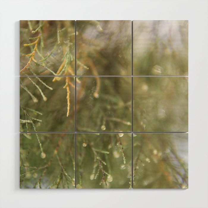 Pine Tree close up - Nature & botanical photography - Green simplistic image Wood Wall Art