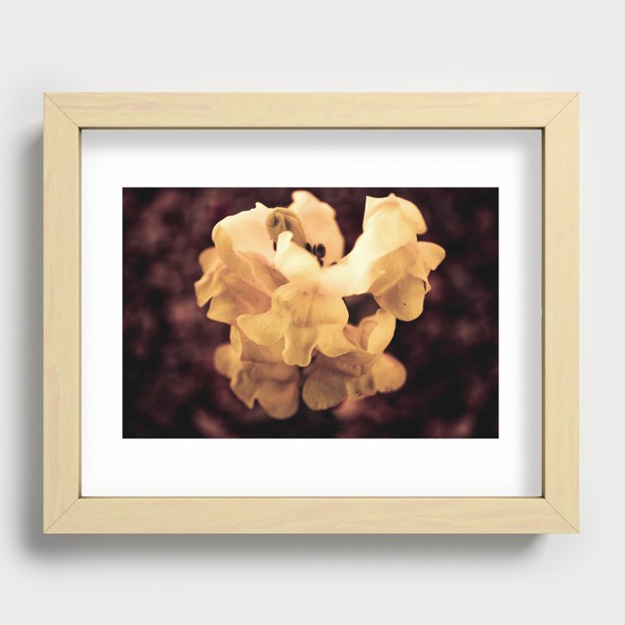 Golden Flori Recessed Framed Print