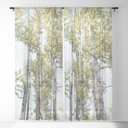 Walk in the Birches Sheer Curtain