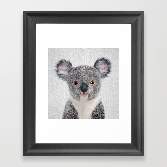 Baby Koala - Colorful Framed Art Print